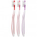 Mimicoco 12 Pack Mushroom Gentle Care Adult Toothbrushes Mimicoco 12 Pack Mushroom Gentle Care Adult Toothbrushes
