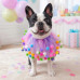 Charming Pet Decorative Dog Party Collar in Small Charming Pet Decorative Dog Party Collar in Small