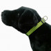 Adjustable Reflective Dog Collar -Assorted Colors Adjustable Reflective Dog Collar -Assorted Colors