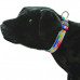 Adjustable Dog Collar Adjustable Dog Collar