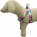 Adjustable Dog Harness Adjustable Dog Harness
