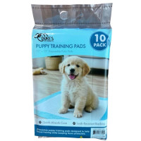10 Pack Disposable Pet Training Pads