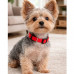 Adjustable Nylon Dog Collar Adjustable Nylon Dog Collar