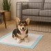 Odor Control Pet Training Pad Set Odor Control Pet Training Pad Set