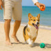 2 Pack Rubber Pet Chew Balls 2 Pack Rubber Pet Chew Balls
