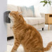 Cat Cleaning Brush Cat Cleaning Brush