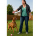 2 Pack Throw and Fetch Pet Tennis Ball Dog Toy 2 Pack Throw and Fetch Pet Tennis Ball Dog Toy