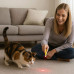 Laser Pointer Key Chain with Interchangeable Heads Laser Pointer Key Chain with Interchangeable Heads
