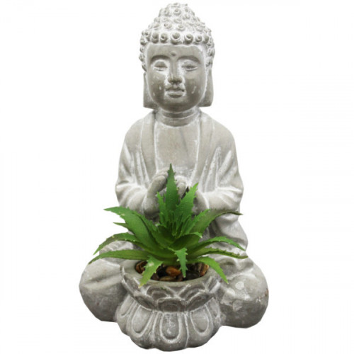 6 6
