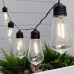 10-Bulb Solar LED String Lights 10-Bulb Solar LED String Lights
