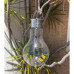 Butterfly Solar Light Butterfly Solar Light