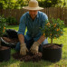 3 Gallon Fabric Gardening Planter Pot 3 Gallon Fabric Gardening Planter Pot