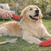 Pet Brush & Comb Grooming Set
