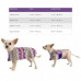 Medium Aztec Purple Dog Poncho