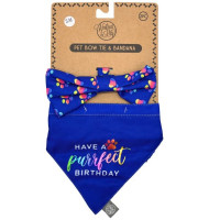 Pet Bow Tie and Small Bandana Set  Rainbows Have a Purrfect Birthday