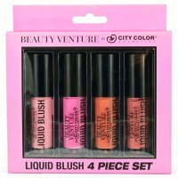 Beauty Venture 4 Piece Liquid Blush Set in Bright Tones