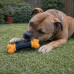Durable Tough Grip Dog Chew Textured Bone Shape Toy Durable Tough Grip Dog Chew Textured Bone Shape Toy