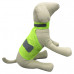 Reflective Dog Vest