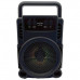 Portable Speaker with Built In Handle and FM Radio