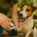 Pet Nail Clipper and File Pet Nail Clipper and File