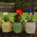 Farmhouse Decorative Flowers and Garden Metal Bucket Farmhouse Decorative Flowers and Garden Metal Bucket