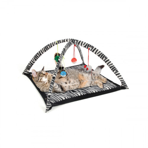 Zebra Print Cat Play Tent with Dangle Toys Zebra Print Cat Play Tent with Dangle Toys