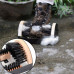 Shoe & Boot Cleaning Brush