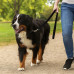 Extra Long Nylon Dog Leash