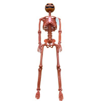 Large Poseable Standing Pumpkin Head Skeleton Halloween  Prop Decoration