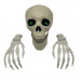Skeleton Head with LED Eyes and Hands Halloween Display Prop Decor