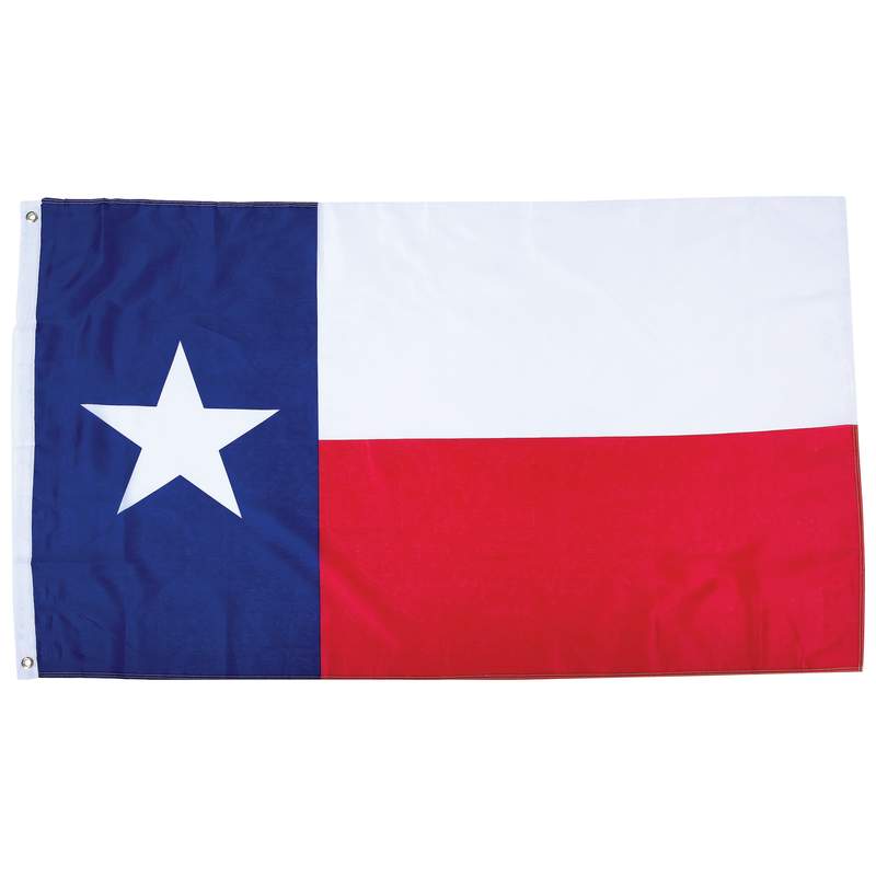 Texas State Flag 5
